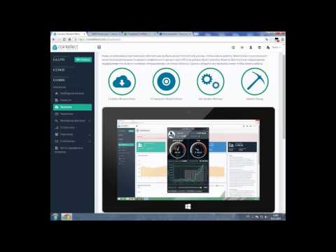 Все о Cointellect (Коинтеллект) Часть 1