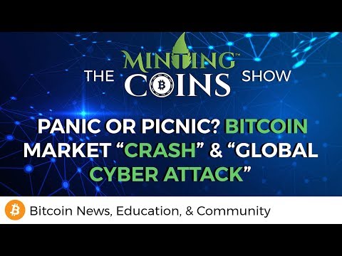 Panic or Picnic? Bitcoin Market 