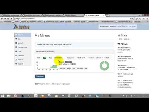 Hashie новый майнер с акциями и привлекательными ценами  Живи в ритме!