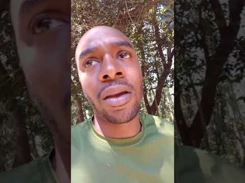 New to Cryptocurrency. BitCoin not a scam Control-Finance, BitConnect