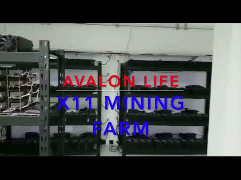 Avalon Life Altcoin Mining Farm || Earn Bitcoin With Node Mining