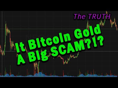 (Huge Profit Potential) Is Bitcoin Gold A Big SCAM!?