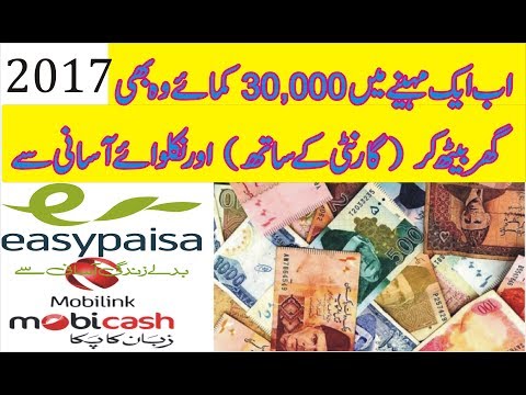 Pay wao - how to make money online in pakistan urdu / hindi - the best earning site new 2017
