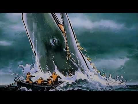 Bitcoin Forks Influence Bitcoin Price Rise and Fall