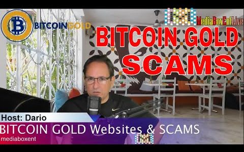 BITCOIN GOLD WEBSITES & SCAMS