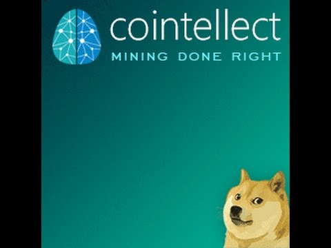 Earn Money With Cointellect / Cointellect Review