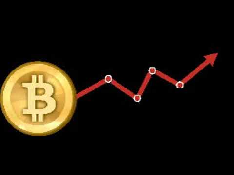 Why bitcoin price is rising $8000 || Bitocoin break all record || Bitcoin price latest news