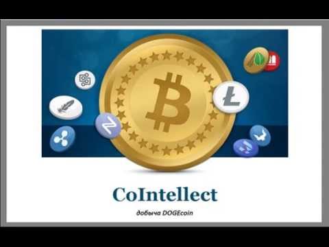 CoIntellect. Интенсивная, а также бесплатная добыча DOGEcoin