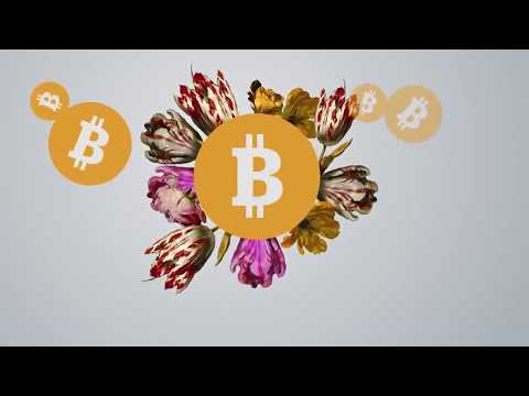 Bitcoin Frenzy | Bitcoin Bubble about to Burst | Bitcoin Review | Bitcoin Scam