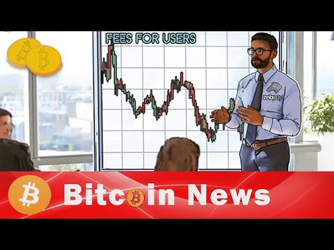 Bitcoin Wallets Could Reduce Bitcoin Fees Immediately For Users, Here's How - Bitcoin News 12/28