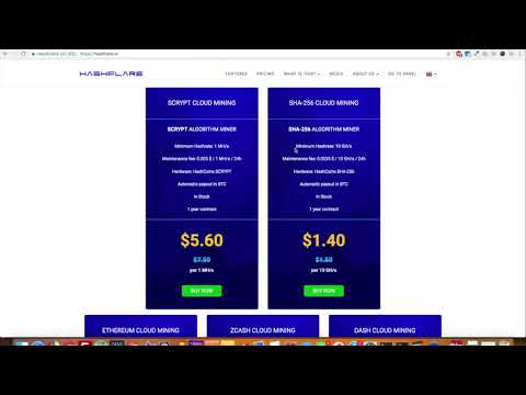 Is Hashflare Bitcoin Mining Worth It  Don't Get Scammed