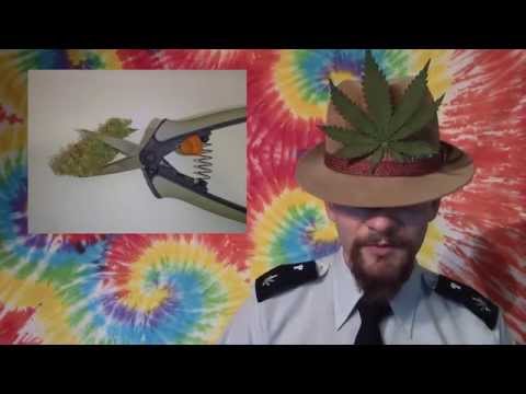 Mad PotCoins Nug Hunt