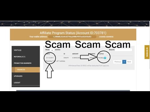Big Scam Site 