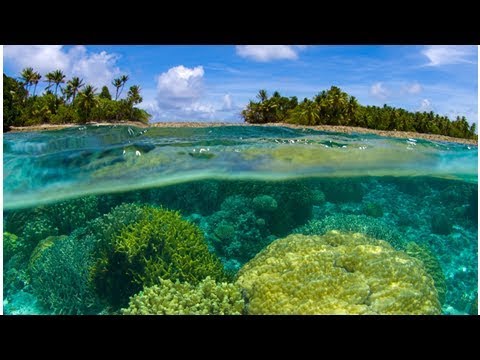 Offshore Tax Haven Marshall Islands to Issue National Cryptocurrency - Bitcoin News