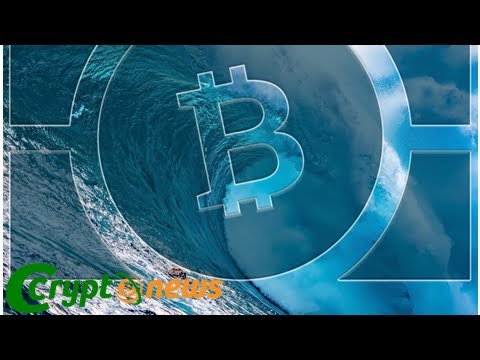 Bitcoin Cash Ecosystem Sees a Tidal Wave of Merchant Acceptance - Bitcoin News
