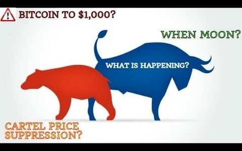 Bitcoin to $1,000? | The Cartel Real? | Will We Recover? | Great News