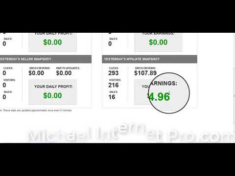 How I Make $44.96day From Home & How I Make Money Online Using Paypal with Michael Internet Pro1.flv