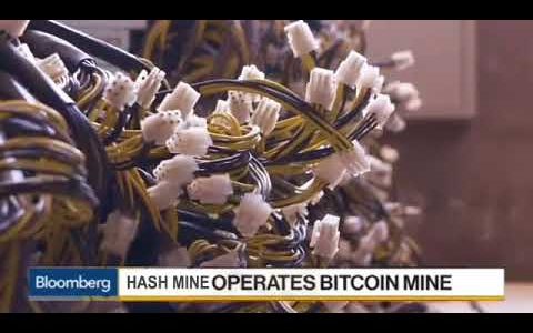 Start Bitcoin mining today Hash Mine