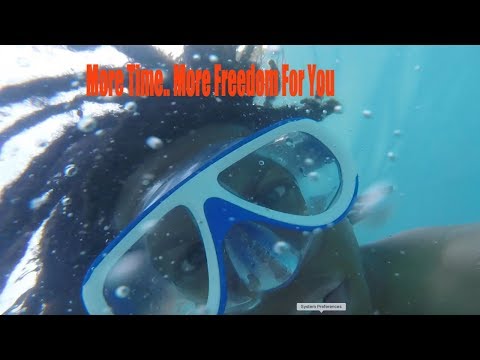 Is CTFO Legit?|How To Make Money Online with ctfo!