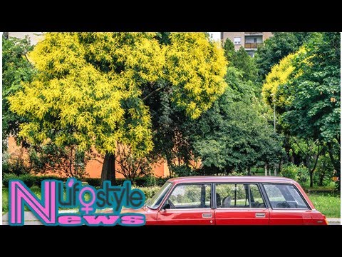 Eastern Europe: Regulation Postponed, Tax Abandoned, Banks Enlightened - Bitcoin News