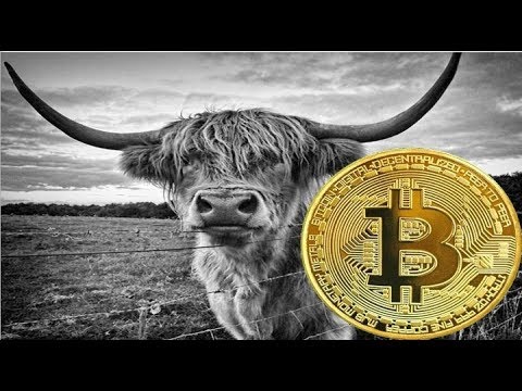 Bitcoin News! $8,350 is the Mark Bitcoin (BTC) Needs to Assure to Reattain Bullish Runs