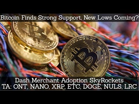 Crypto News | Bitcoin Finds Strong Support, New Lows Coming? Dash Merchant Adoption SkyRockets