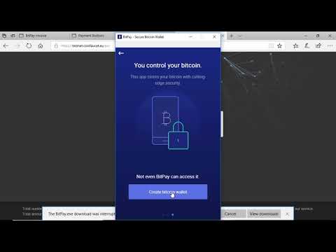 Bitpay API Integration with Asp.NET Core : Bitcoin Payment Gateway [The Future]
