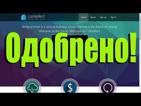 Покупка контрактов в Cointellect / Purchase Contracts