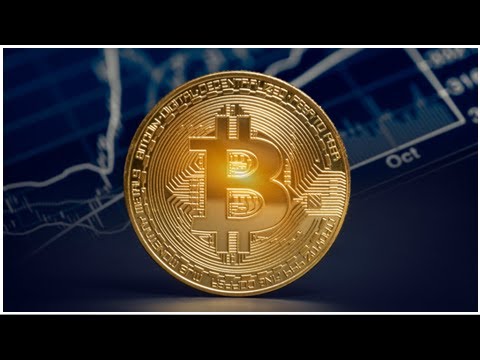Could the bitcoin price crash to under $1?