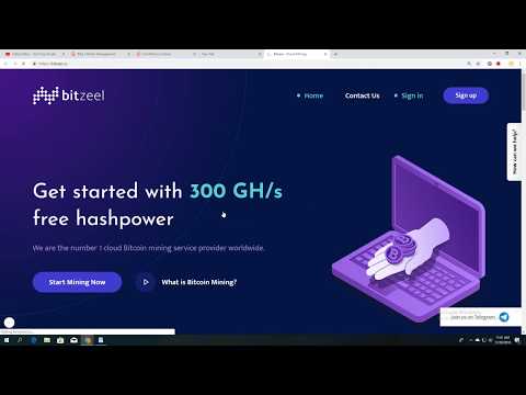 Bitzeel Mining with  300 GH/s pwr also deposit proof .....