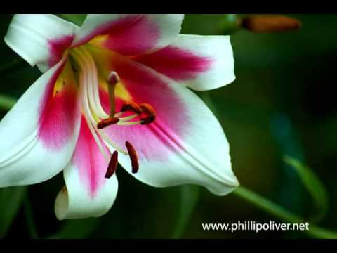 What's at Stake in the Silk Road Trial