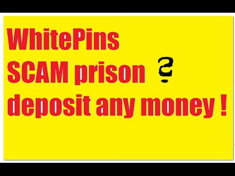 White Pins News 25.1.15 Scam?  Auszahlungsstopp- Untersuchungshaft - whitepins nicht einzahlen