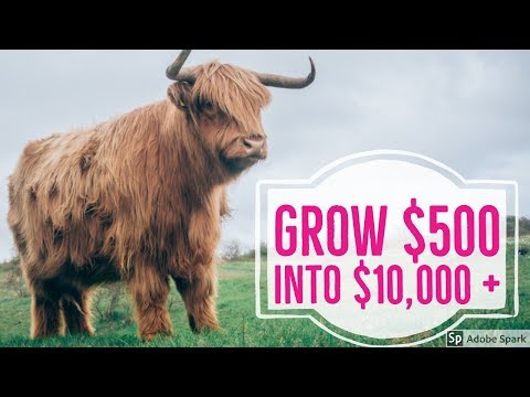 Best Way To Make Money Online | The Profit Challenge |(2019)