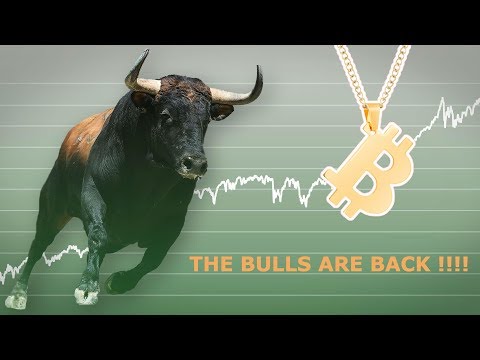 THE BITCOIN BULLS ARE BACK!!! FIDELITY BREAKS IT DOWN! NYSE OWNER BUYING!