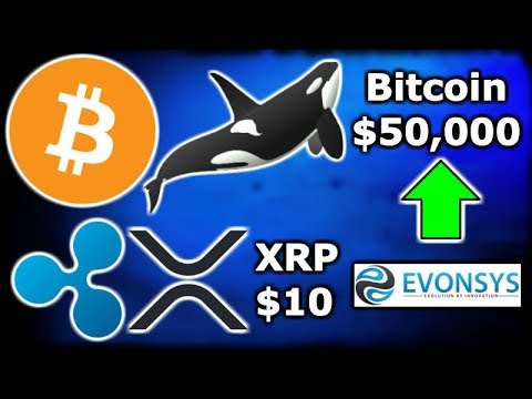 CRYPTO Whale Says BITCOIN Price Will Reach $50,000 - XRP to $10 in Next Bull Run? Ripple XRP EvonSys