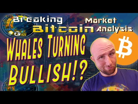 Beyond the Base Line!  Is This The Moment Whales Have Waited For?  Bakkt Launch - Hackers & BitMEX