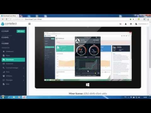 COINTELLECT майнинг на видеокарте. Способ зароботка 3.