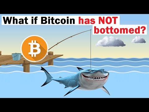 If Bitcoin Has NOT Bottomed, Here's What Could Happen Next