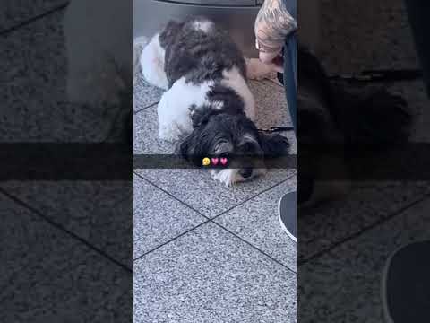 Get Paid For Clout! Make Money Online With Clout Pay | share.cloutpay.co/ChanelCarmex