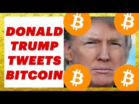 Donald Trump Tweets Bitcoin -I'm BULLISH!