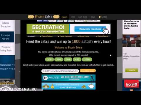 Bitcoin Zebra faucet   Бесплатные биткоины каждый час