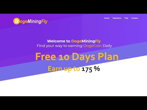 Dogeminingfly Cloud Mining | Review