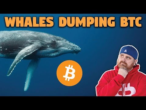 Bitcoin Whales Dumping Bitcoin