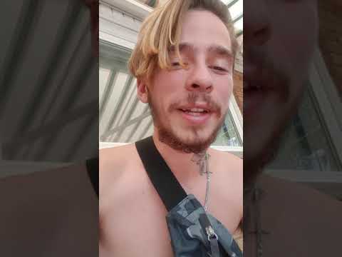 KashTree The Legit Way To Make Money With Social Media