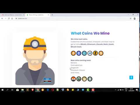 Bitcoin Mining - Cadamine.com. Payouts - Выплаты