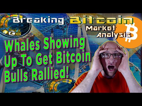 1 Billion In Bitcoin Just Did What?!  What This Means For The Bull Market!