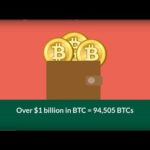 Someone Just Made $1 Billion Transaction In Bitcoin | Crypto News