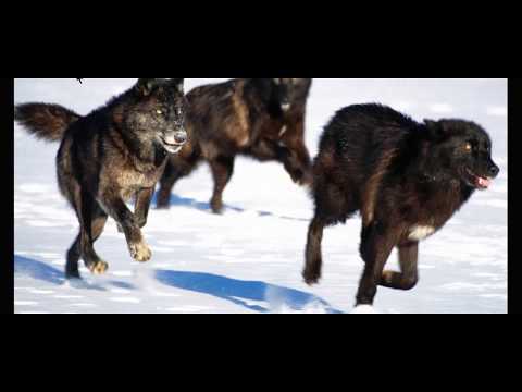 F*CK YOUR JOB GET RICH IN BITCOIN  NOW