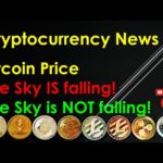 Cryptocurrency News - Bitcoin Price: The Sky IS falling! The Sky is NOT falling!