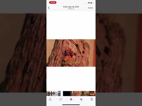 Get Paid For Clout! Make Money Online With Tap 2 Earn | share.tap2earn.co/Chriscross